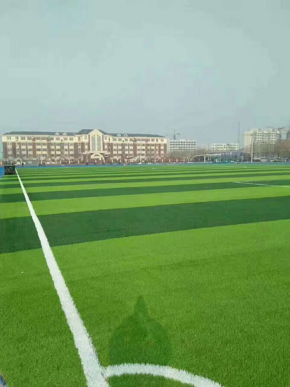 五指山市透水跑道仿真草坪 - 一站式服务